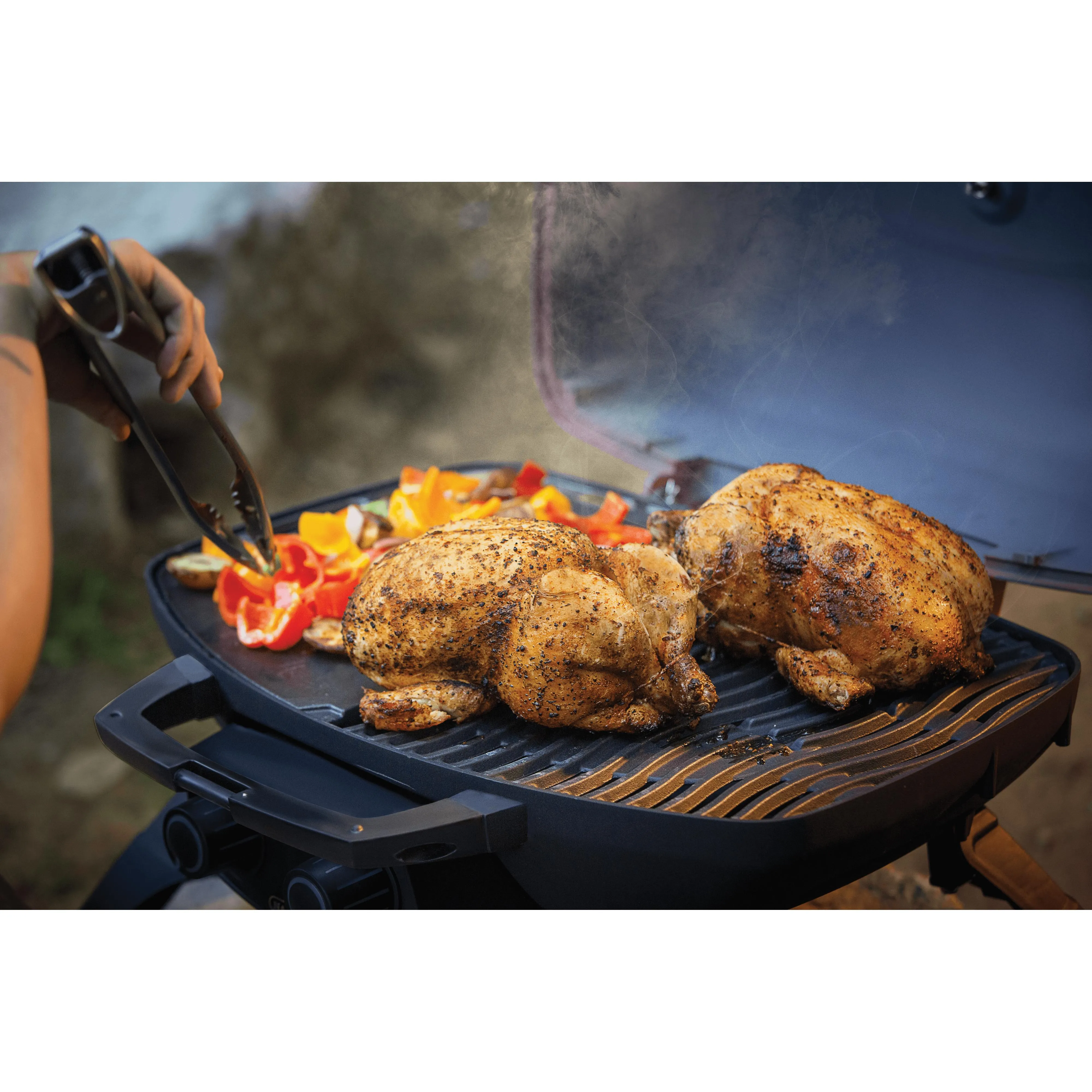Napoleon Grills Gas Grills TQ285-RD-1-A