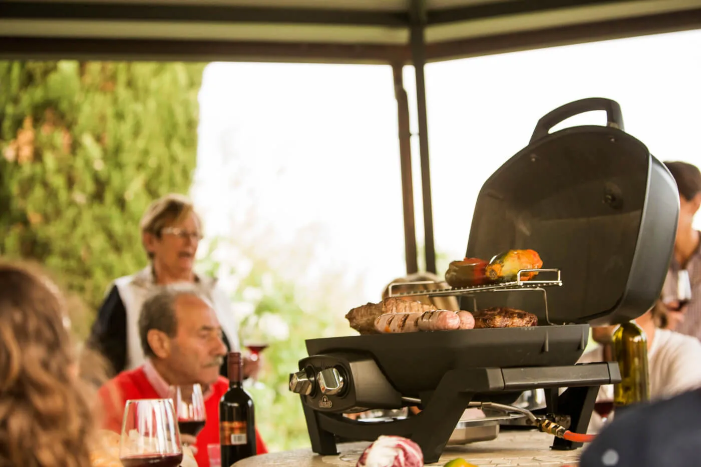 TravelQ™ PRO285 Portable Gas Grill By Napoleon