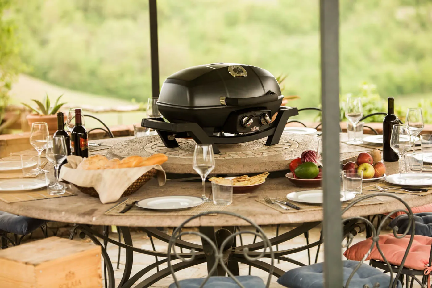 TravelQ™ PRO285 Portable Gas Grill By Napoleon